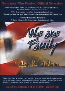 Создание и смысл фильма «Мы семья» (2002)