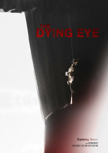 The Dying Eye (2013)